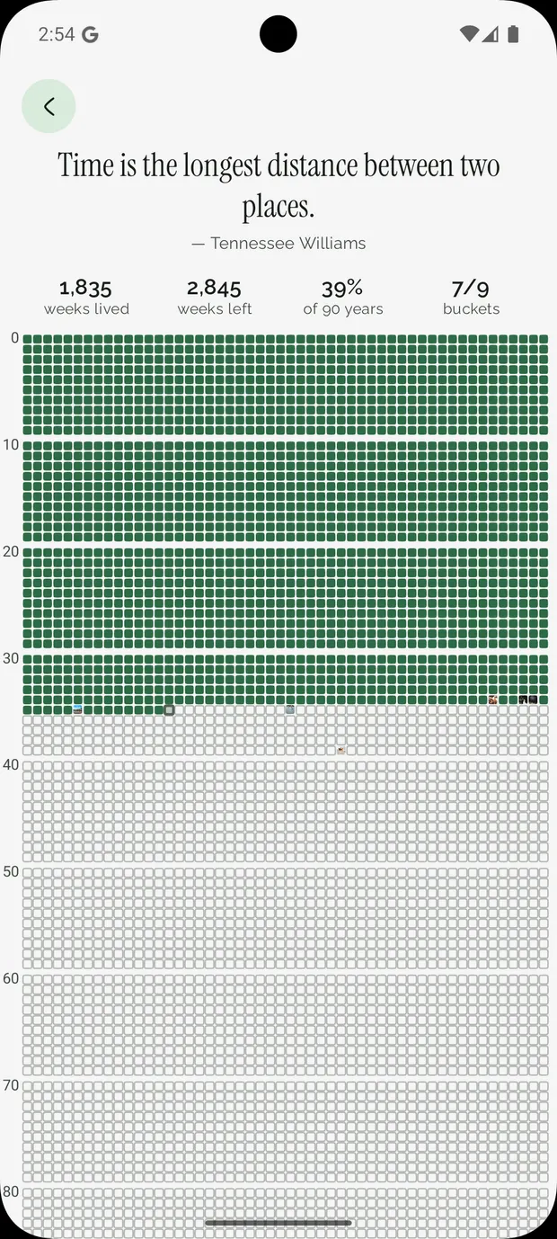The life-in-weeks grid inside Buckist